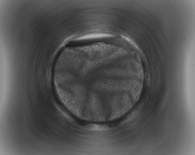 X0000083570442200703091641