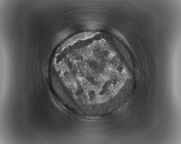 X0000083570443200703091641