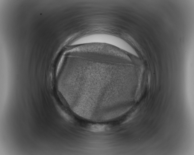 X0000083570444200703091641