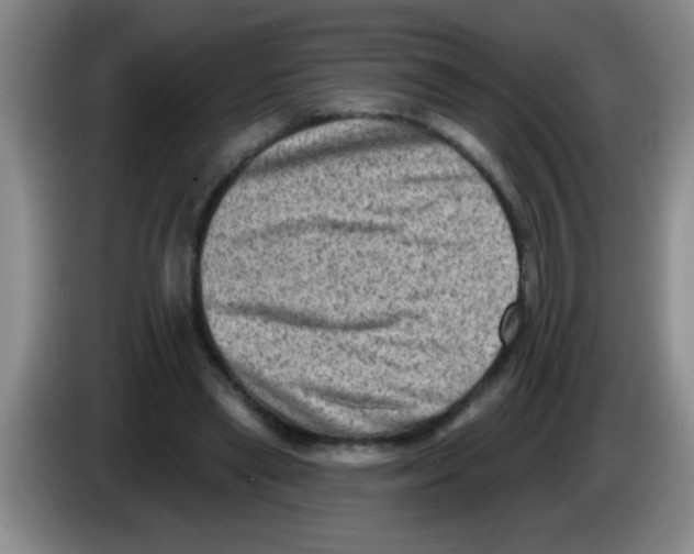 X0000083570445200703091641