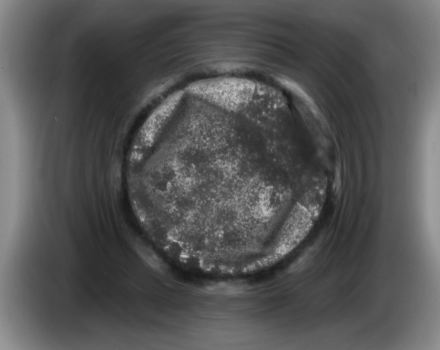 X0000083570447200703091641