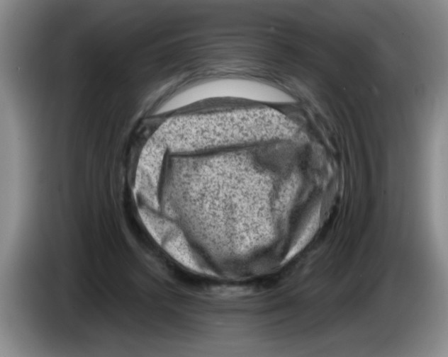 X0000083570448200703091641