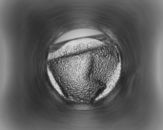 X0000083570449200703091641