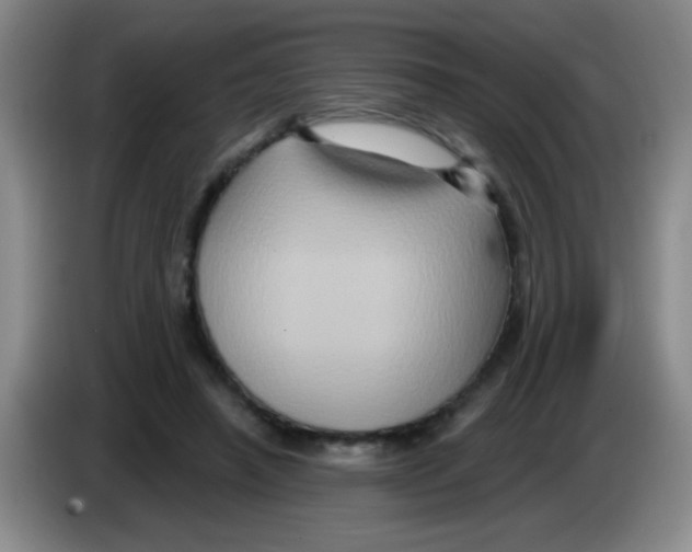 X0000083570450200703091641
