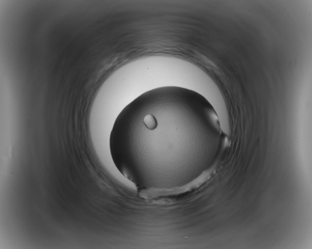X0000083570452200703091641