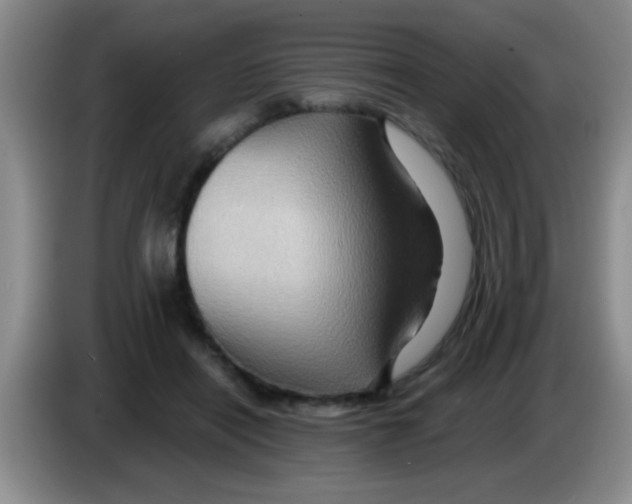 X0000083570454200703091641