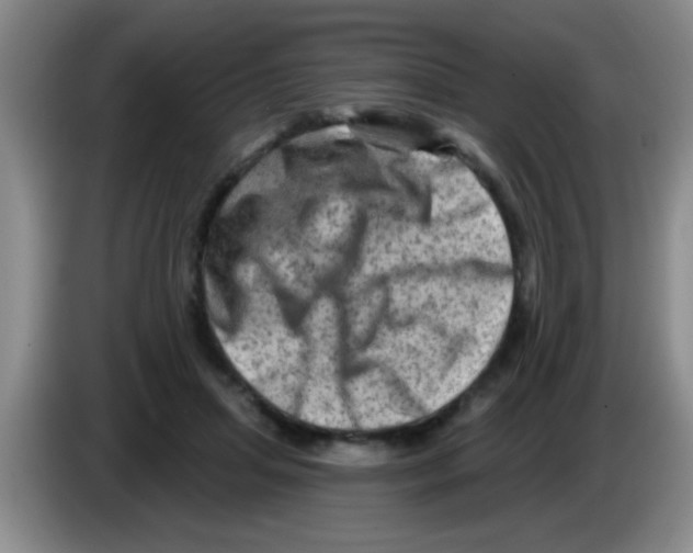 X0000083570455200703091641