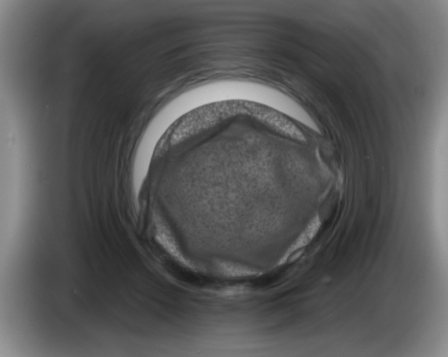 X0000083570456200703091641