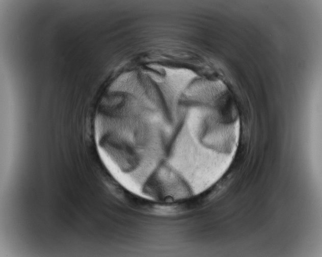 X0000083570457200703091641