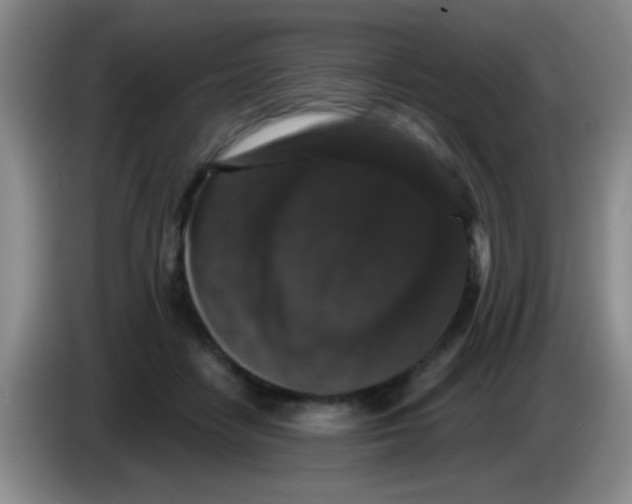 X0000083570458200703091641