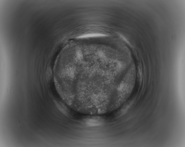 X0000083570459200703091641