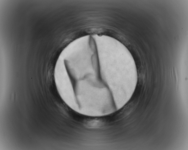 X0000083570460200703091641