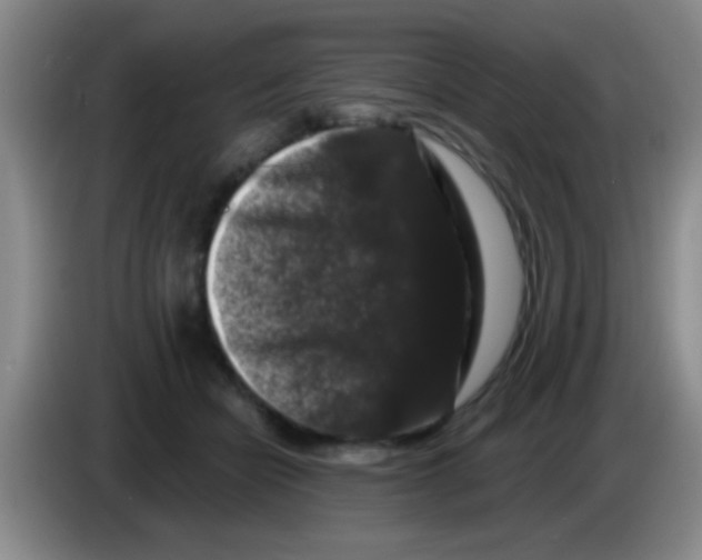X0000083570462200703091641