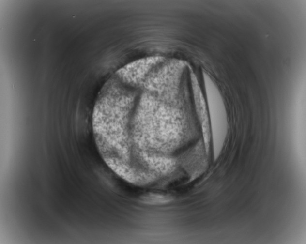X0000083570464200703091641