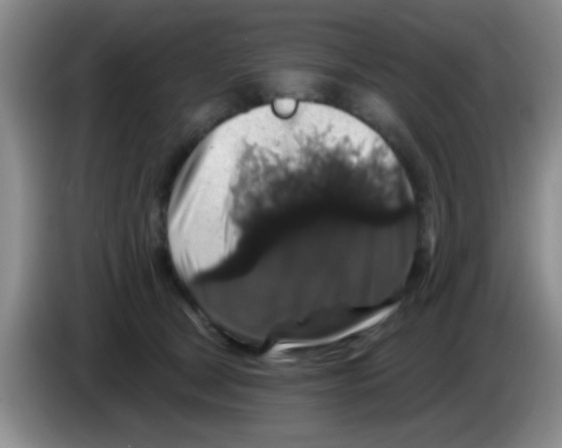 X0000083570465200703091641
