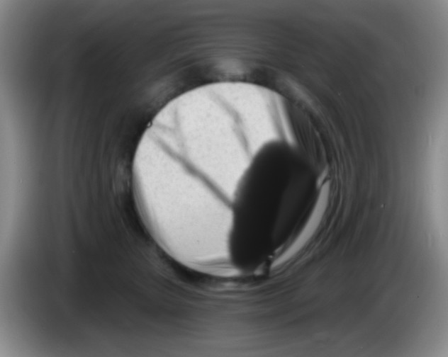 X0000083570467200703091641