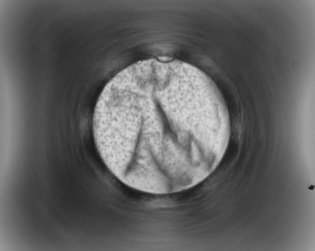 X0000083570468200703091641