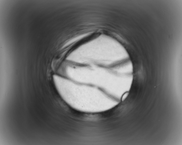 X0000083570469200703091641