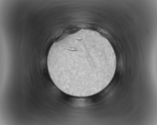 X0000083570473200703091641