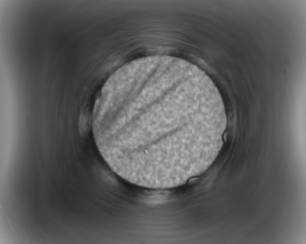 X0000083570474200703091641