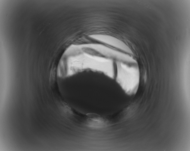 X0000083570475200703091641