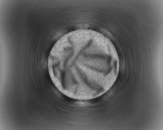 X0000083570477200703091641