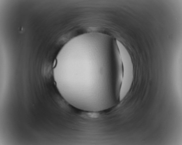 X0000083570478200703091641