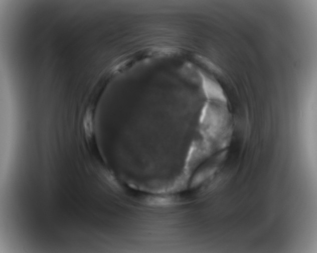 X0000083570479200703091641