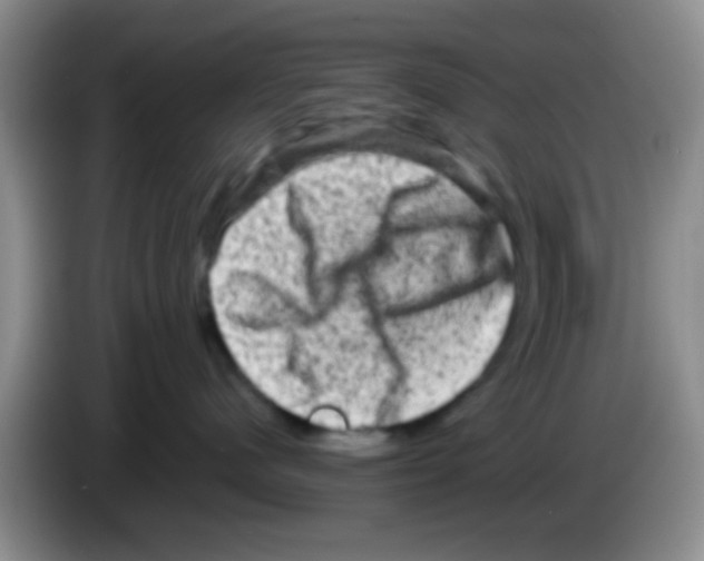 X0000083570480200703091641