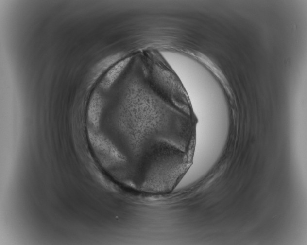X0000083570481200703091641