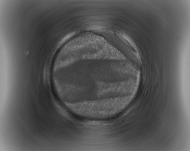 X0000083570482200703091641