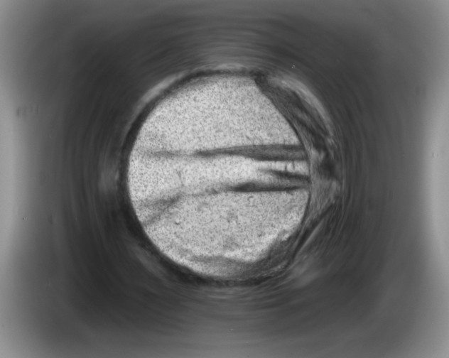 X0000083570483200703091641