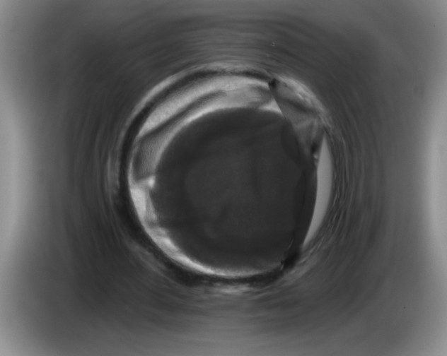 X0000083570484200703091641