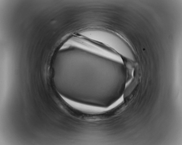 X0000083570485200703091641