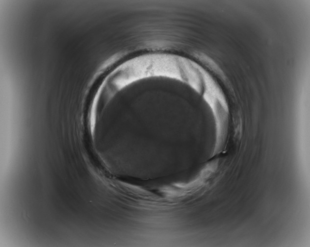X0000083570488200703091641