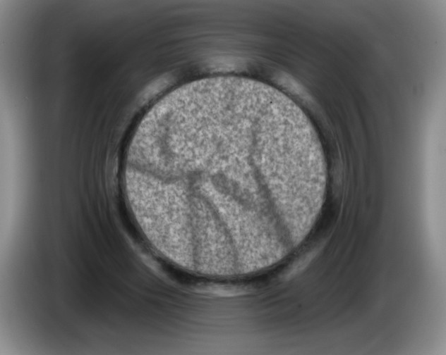 X0000083570490200703091641