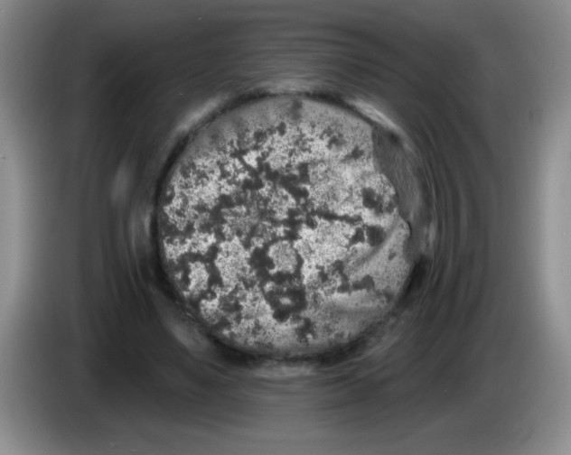 X0000083570491200703091641