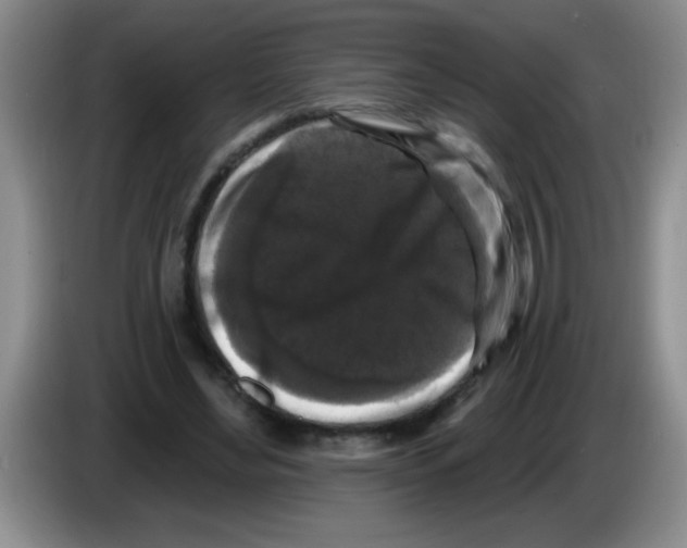 X0000083570492200703091641