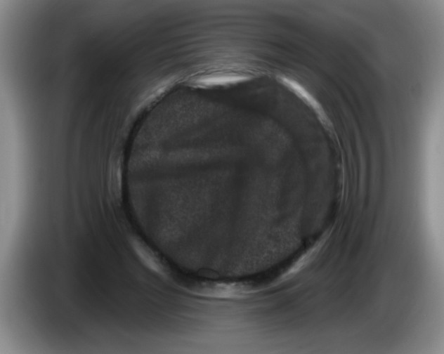 X0000083570493200703091641