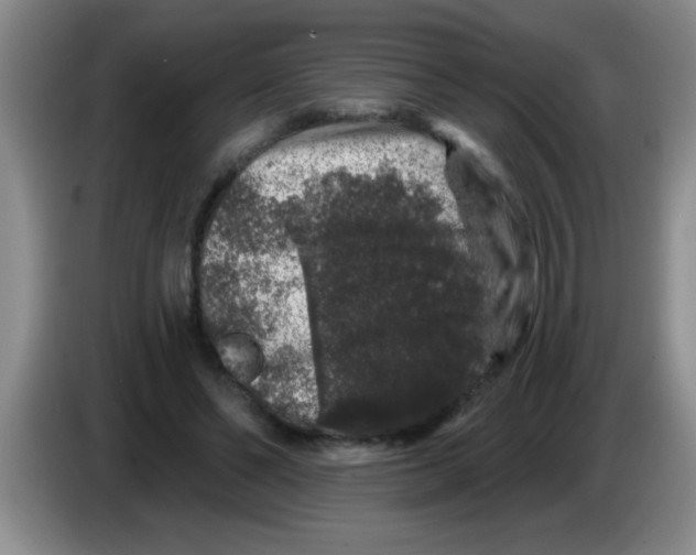 X0000083570494200703091641