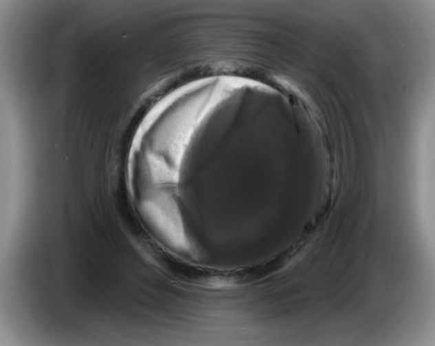 X0000083570496200703091640