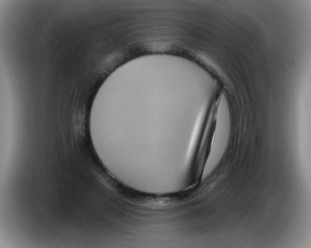 X0000083570497200703091640
