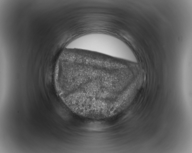 X0000083570499200703091640