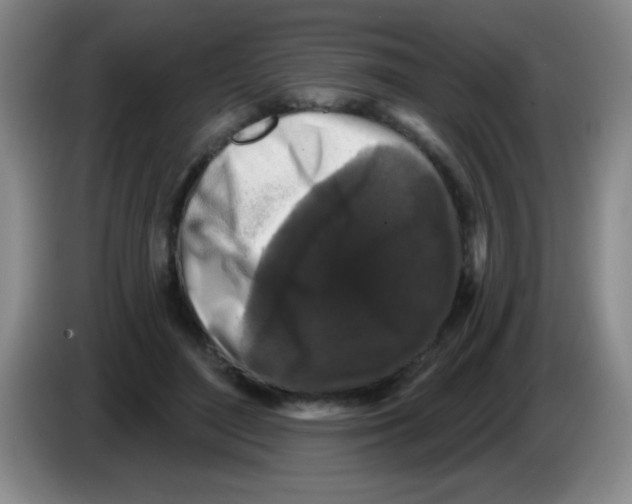 X0000083570500200703091640