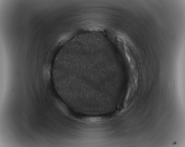X0000083570501200703091640