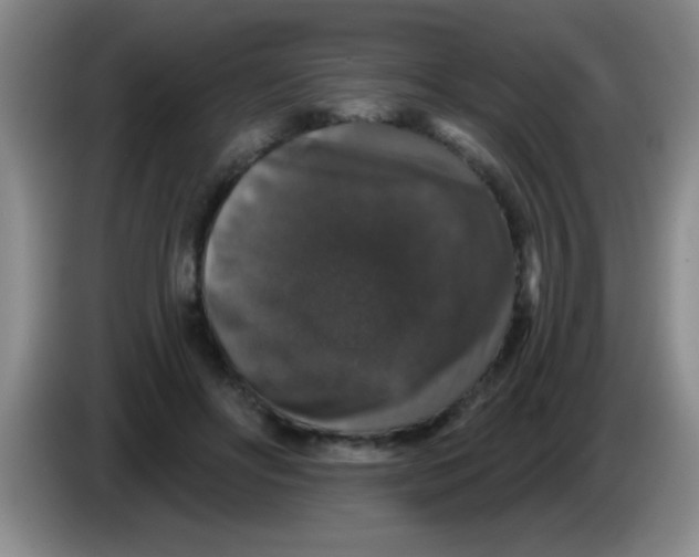 X0000083570502200703091640