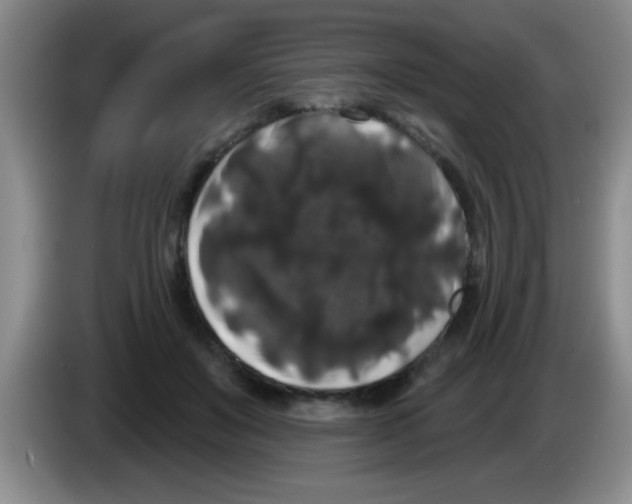 X0000083570503200703091640