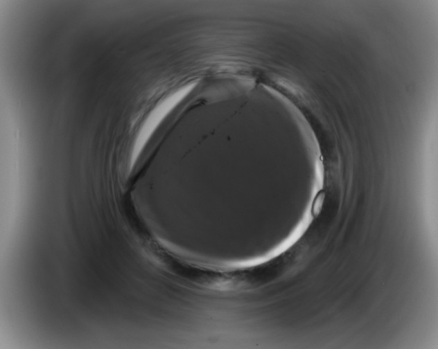 X0000083570504200703091640