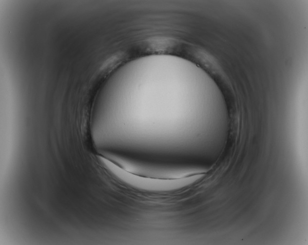 X0000083570505200703091640