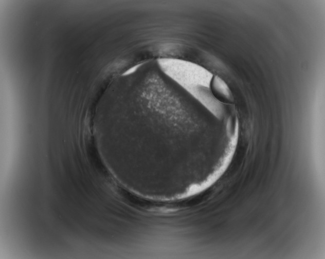 X0000083570506200703091640